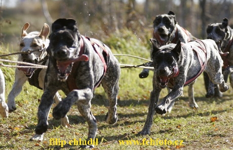 Tri studne MR 06 - 346.JPG